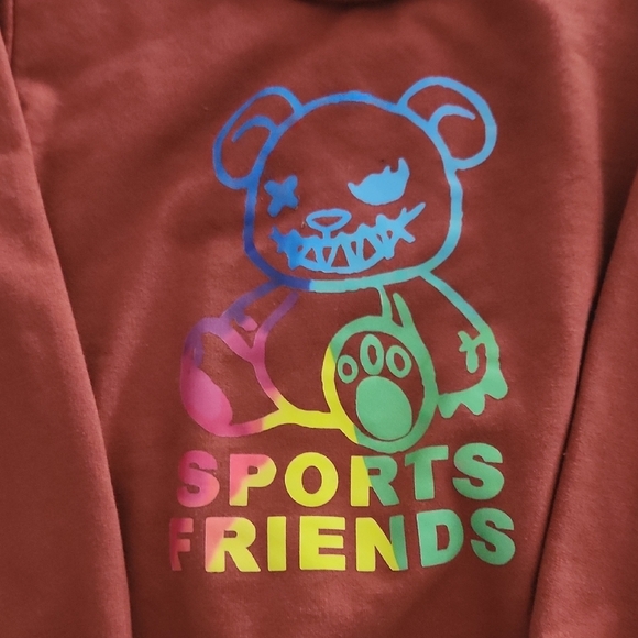 Kids Graphic Sweatshirt – Size 4T/5T – Sports Friends Bear Design - Picture 2 of 5